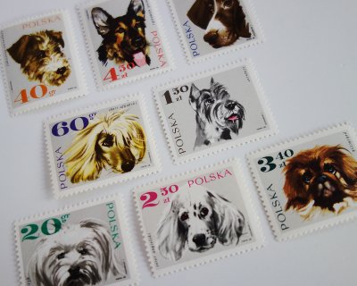 ポーランド 犬の切手 1968 Ju Co 海外紙もの 輸入雑貨 ラッピング用品 アンティークのお店
