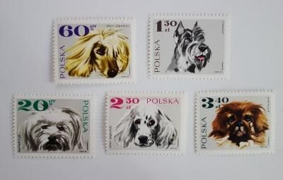 ポーランド 犬の切手 1968 Ju Co 海外紙もの 輸入雑貨 ラッピング用品 アンティークのお店