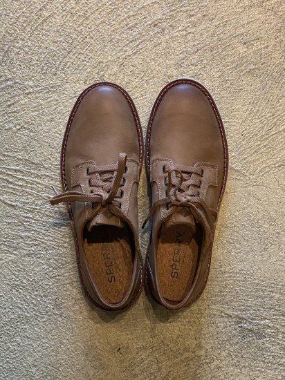 sperry camden oxford burnished