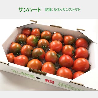 ルネッサンストマト 1kg