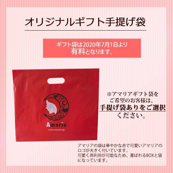 濃厚チョコレートケーキ たっぷりのチョコ生クリーム 3 4人分 アマリア