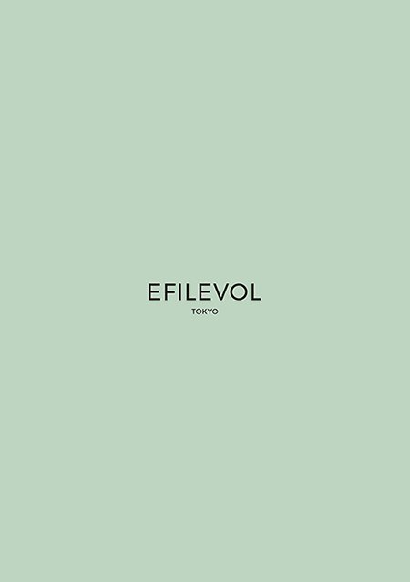 EFILEVOL