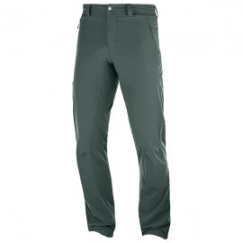 SALOMON  / WAYFARER ALPINE PANT M