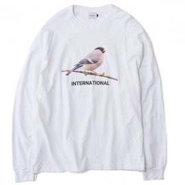 EFILEVOL եܥ / International Bird L/S