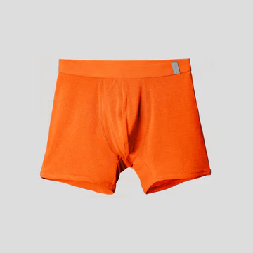 <img class='new_mark_img1' src='https://img.shop-pro.jp/img/new/icons20.gif' style='border:none;display:inline;margin:0px;padding:0px;width:auto;' />ONE NOVA / [nova wool® melty plus] 3D Boxer Brief (MALE)