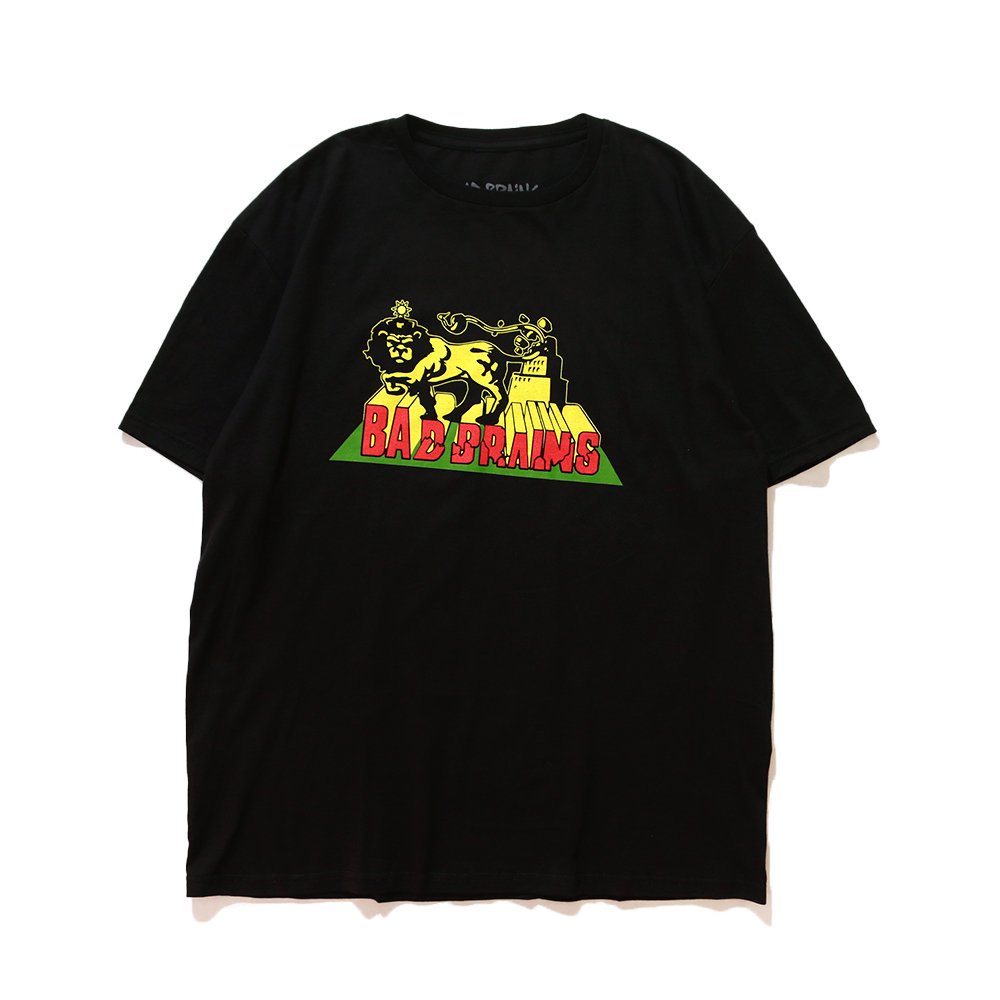 <img class='new_mark_img1' src='https://img.shop-pro.jp/img/new/icons8.gif' style='border:none;display:inline;margin:0px;padding:0px;width:auto;' /> Music Tee / BAD BRAINS 