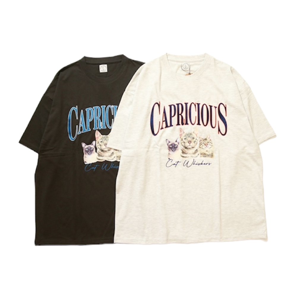 <img class='new_mark_img1' src='https://img.shop-pro.jp/img/new/icons8.gif' style='border:none;display:inline;margin:0px;padding:0px;width:auto;' />Graphic Tee /  CAT Animal S/S Tee