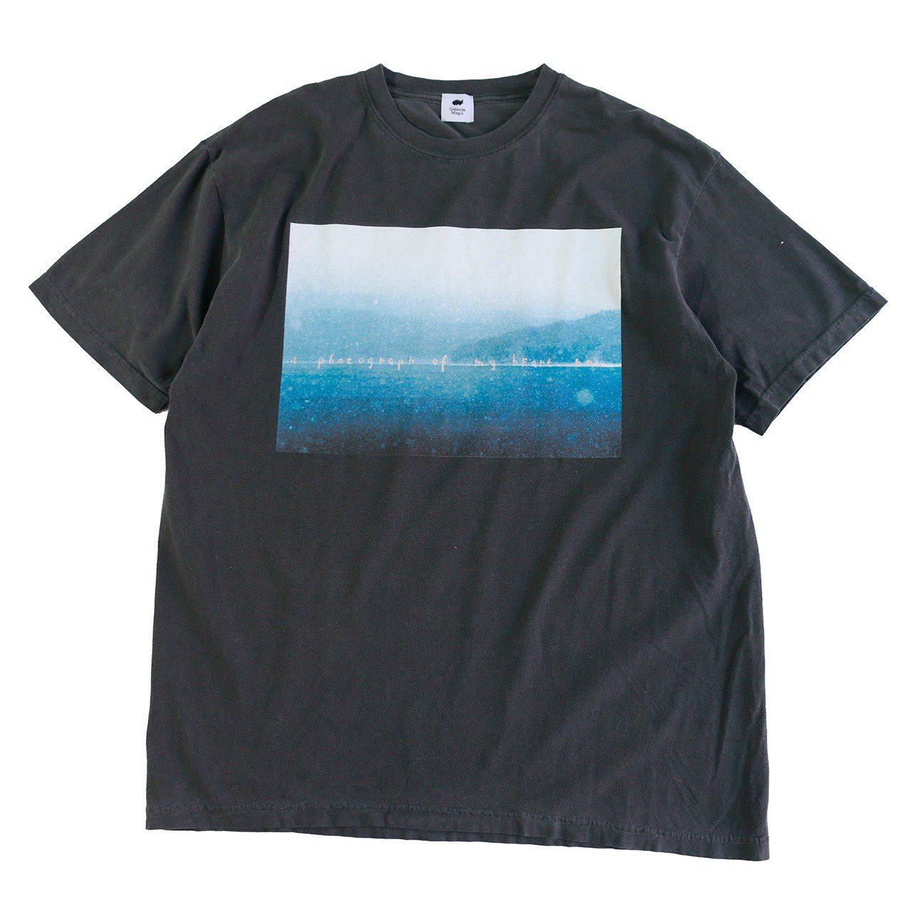 <img class='new_mark_img1' src='https://img.shop-pro.jp/img/new/icons8.gif' style='border:none;display:inline;margin:0px;padding:0px;width:auto;' />Gelände Magic  / Pigment Photo T-shirt -a photograph of my heart now-