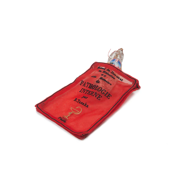 <img class='new_mark_img1' src='https://img.shop-pro.jp/img/new/icons20.gif' style='border:none;display:inline;margin:0px;padding:0px;width:auto;' />Brigitte Tanaka / Organza Pouch 