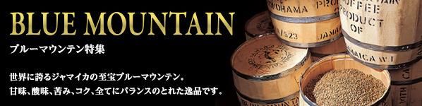 �֥롼�ޥ���ƥ��ý�