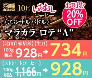 Τҡҥ륵Хɥӥޥ饫 ơȣɡڤ㤤20%OFF