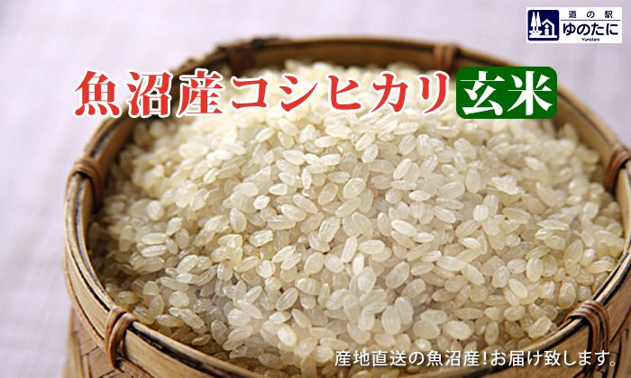 魚沼産コシヒカリ玄米