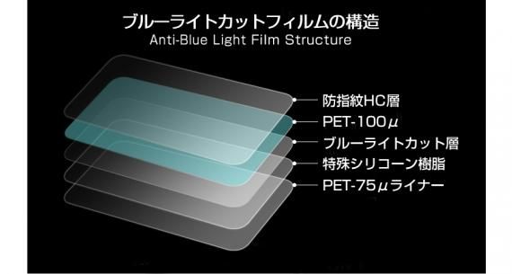 22インチ ワイド 機種用 ブルーライトカット 反射防止 指紋防止 気泡