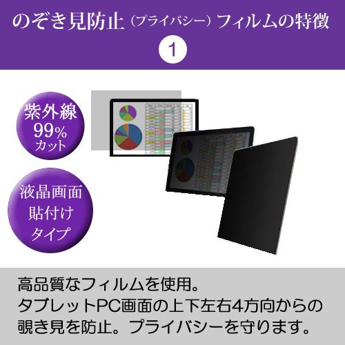 10.1インチ（サイズW223×H141mm）機種用 のぞき見防止 反射防止 液晶