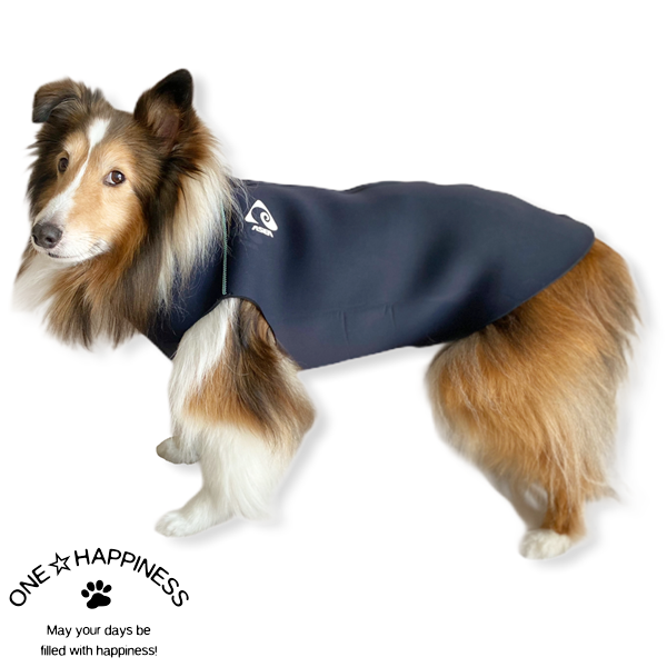 ドッグウェットスーツ 小型犬 中型犬 大型犬 犬服 ドッグウェア ペット用品 わんハピネス One Happiness