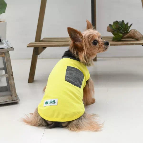 LOGOS】 ロゴス ドッグシャツ (XS～7L) 小型犬・中型犬・大型犬 犬服