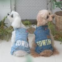 <img class='new_mark_img1' src='https://img.shop-pro.jp/img/new/icons61.gif' style='border:none;display:inline;margin:0px;padding:0px;width:auto;' />EDWINС롡/淿/緿//ɥå/2025ղ