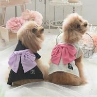 <img class='new_mark_img1' src='https://img.shop-pro.jp/img/new/icons61.gif' style='border:none;display:inline;margin:0px;padding:0px;width:auto;' />ANNA SUI졼ᡡ//ɥå/2025ղ