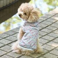 <img class='new_mark_img1' src='https://img.shop-pro.jp/img/new/icons61.gif' style='border:none;display:inline;margin:0px;padding:0px;width:auto;' /> LAURA ASHLEY쥤󥳡 /淿//ɥå