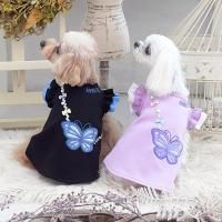 <img class='new_mark_img1' src='https://img.shop-pro.jp/img/new/icons61.gif' style='border:none;display:inline;margin:0px;padding:0px;width:auto;' />ANNA SUI Хåԡ //ɥå 2025