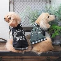 <img class='new_mark_img1' src='https://img.shop-pro.jp/img/new/icons61.gif' style='border:none;display:inline;margin:0px;padding:0px;width:auto;' />AVIREXȥåJKT/淿//ɥå/2025