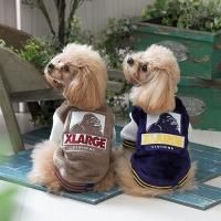 <img class='new_mark_img1' src='https://img.shop-pro.jp/img/new/icons61.gif' style='border:none;display:inline;margin:0px;padding:0px;width:auto;' />XLARGEOG󡡾/淿//ɥå/2025