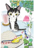 mojuni　猫イラストポストカード　青い小鳥と仔猫