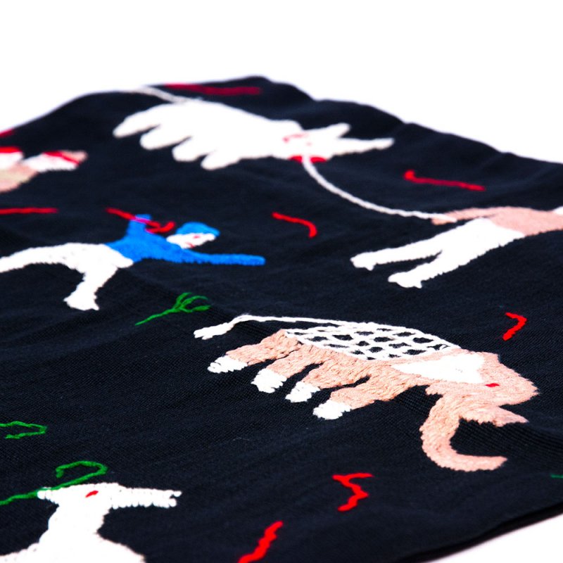 ナガ族 手織布と手刺繍のクッションカバー Type.2