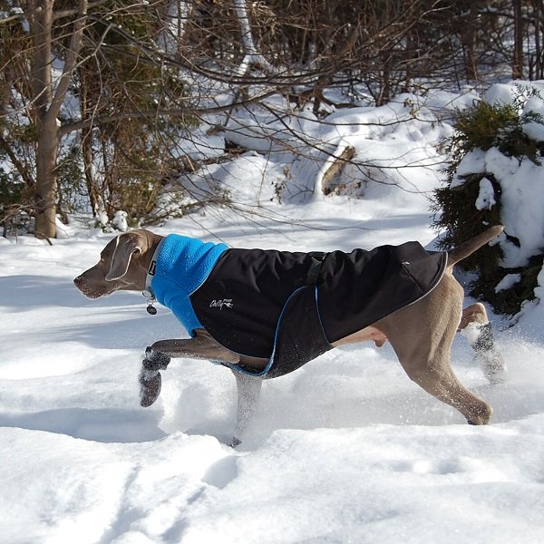 ☆15％OFF！期間限定SALE☆【Chilly Dogs】Great White North (大型犬