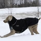 <img class='new_mark_img1' src='https://img.shop-pro.jp/img/new/icons20.gif' style='border:none;display:inline;margin:0px;padding:0px;width:auto;' />15OFFָSALEChilly DogsGreat White North (緿Ķ緿ɴ)