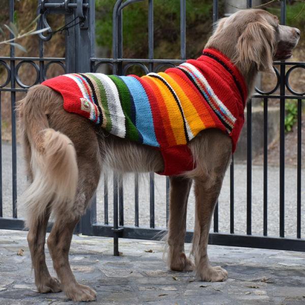 会員様30 Off Chilly Dog Sweaters ウール100 ドッグセーター Red Sundance Dog Sweater Studio Bambi