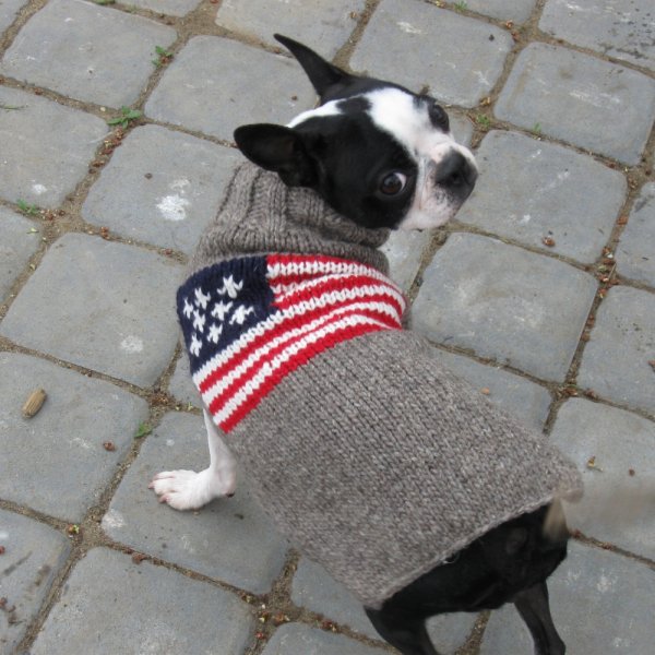 Chilly Dog Sweatersۥ100% ɥåAmerican Flag Dog Sweater 