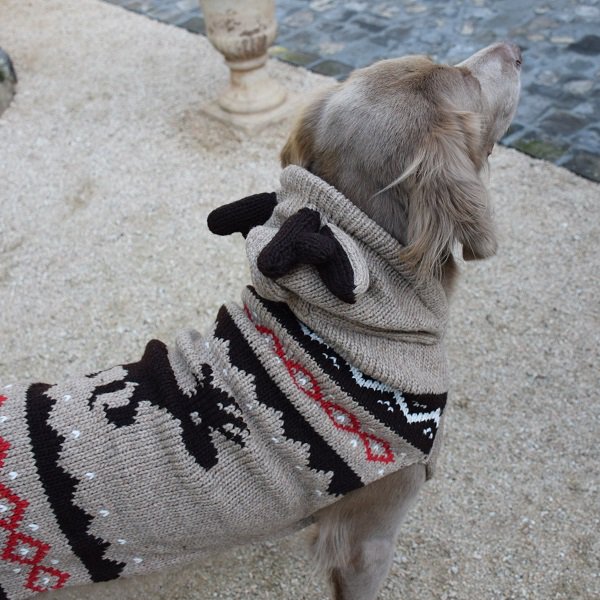 【Chilly Dog Sweaters】ウール100% ドッグセーター　Moosey Hoodie Dog Sweater 