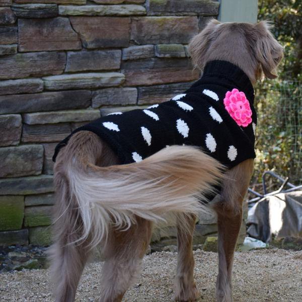 《会員様限定割引き対象商品》【Chilly Dog Sweaters】ウール100% ドッグセーター　Black Polka Dot Pink Flower Dog Sweater 