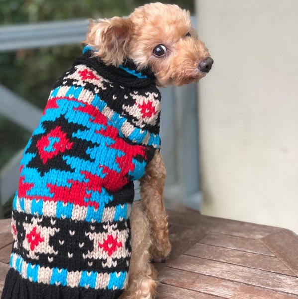 《会員様限定割引き対象商品》【Chilly Dog Sweaters】ウール100% ドッグセーター　Black Southwest Shawl Dog Sweater 