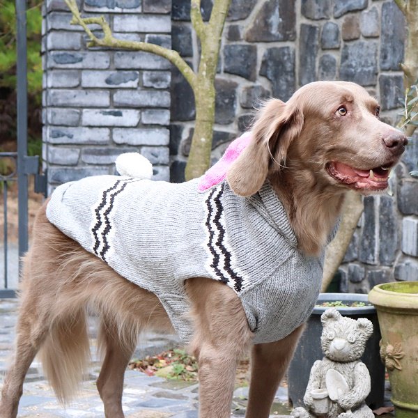 《会員様限定割引き対象商品》【Chilly Dog Sweaters】ウール100% ドッグセーター　Bunny Hoodie Dog Sweater 