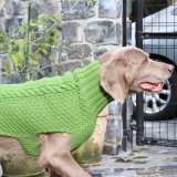 Chilly Dog Sweatersۥ100% ɥåCable Knit Green Dog Sweater 