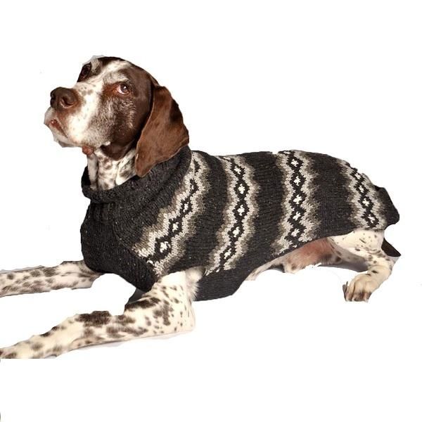 Chili 2024 dog sweater