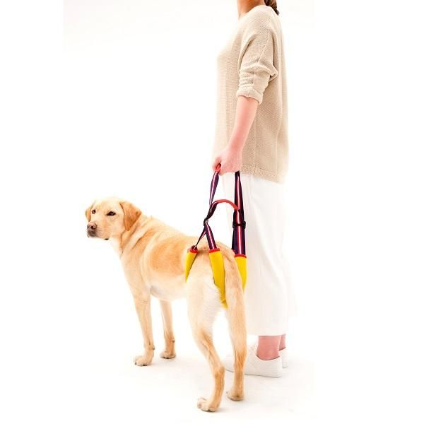 Lalawalk 歩行補助ハーネスlalawalkstep レモンスポーツ 中型犬 大型犬用 メーカー直送商品 Studio Bambi