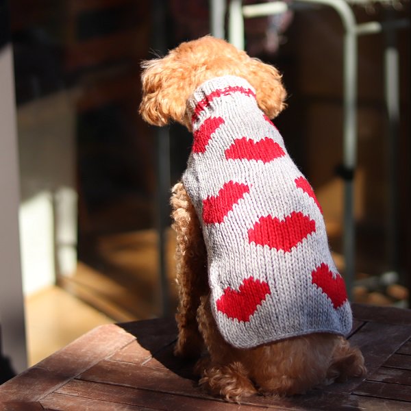 【Chilly Dog Sweaters】ウール100% ドッグセーター　Red Hearts Dog Sweater