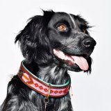 Dog With a MissionDWAM ܳɥå顼 (SWEET MAE) 쥿ѥåOK