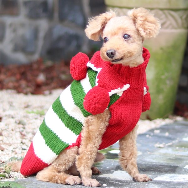 chilly dog reindeer sweater