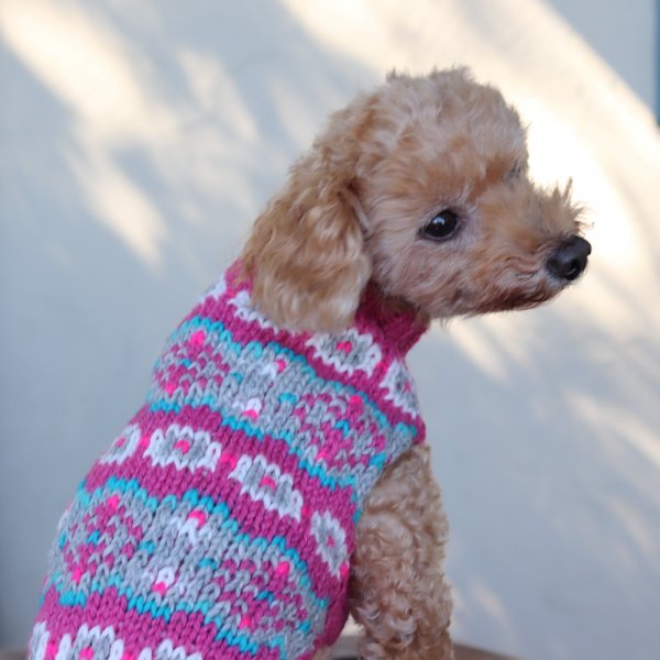 Cheap puppy shop sweaters