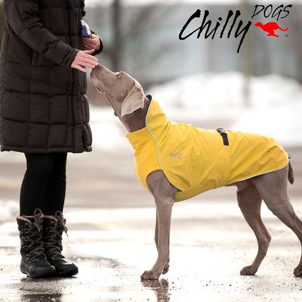 【Chilly Dogs】Harbour Slicker (ハーバースリッカー/レインコート)　