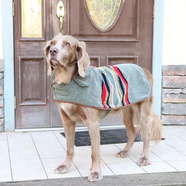 pendleton yakima camp dog coat