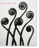 KARL BLOSSFELDT Fotografie 롦֥ե ̿