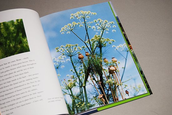 DEREK JARMAN'S GARDEN with photographs by Howard Sooley デレク