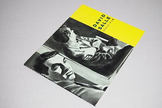 ディヴィッド・サーレ 展 カタログ DAVID SALLE Exhibition catalogue