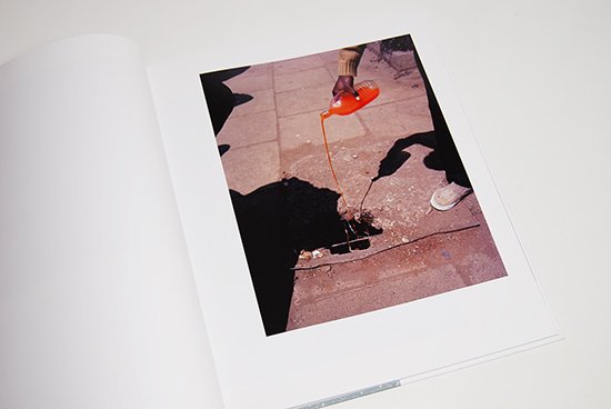 Viviane Sassen: PARASOMNIA ヴィヴィアン・サッセン 写真集 - 古本買取 2手舎/二手舎 nitesha 写真集  アートブック 美術書 建築