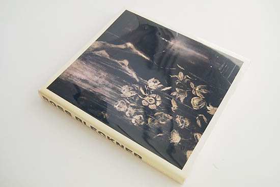 ROSS BLECKNER Monograph Guggenheim Museum ロス・ブレックナー 作品